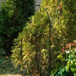 каркас садовый каркас садовый