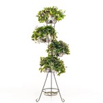 для пяти растений