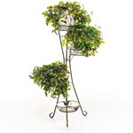 на 4 растения