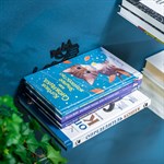 парящая полка