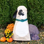 колпак для растений