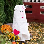 для цветов и кустарников