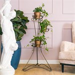 для растений