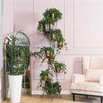 подставка 19-009 цв.черный с золотом