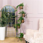 для 4-х растений