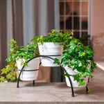 цветочница в подарок