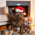 бульдог в подарок