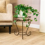 на одно растение на одно растение