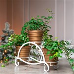 подарок для сестры