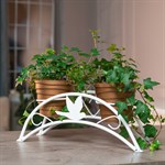 для растений