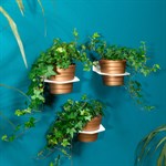 настенные кронштейны