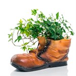 в сад для цветов в сад для цветов