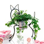 для 2 х растений