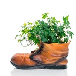 ботинок ботинок