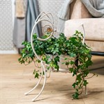 в подарок для цветов