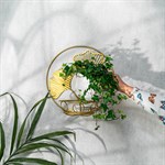 подставка для одного растения