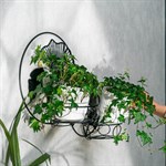 настенная цветочница 15-116