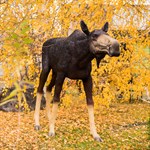 Садовая фигура Лосиха U08859 U08859 - фото 111846