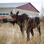 Садовая фигура Лосиха U08859 U08859 - фото 111849