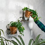 настенка для цветов