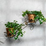 подставка для цветов на стену