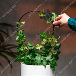 шпалера домашняя