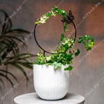 шпалера для растений