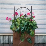 для растений