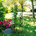 для вьющихся