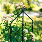 шпалера для роста растений