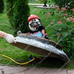 из стеклопластика из стеклопластика