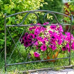 красивый для клумбы