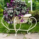 вазон для растений