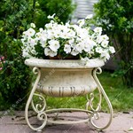 вазон для растений вазон для растений