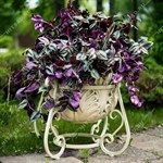 вазон для растений вазон для растений