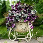 вазон вазон