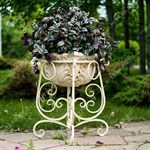 вазон вазон