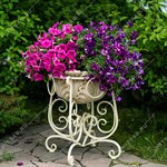 вазон для растений вазон для растений