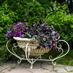 вазон вазон