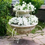 вазон для растений вазон для растений