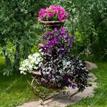 для растений в саду для растений в саду