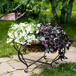 для загородного дома