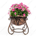 купить вазон не дорого купить вазон не дорого