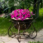 вазон в классическом стиле вазон в классическом стиле