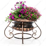 вазоны не дорого вазоны не дорого