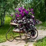 для территории загородного дома для территории загородного дома