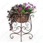 для ландшафтного дизайна для ландшафтного дизайна