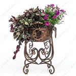 под бронзу под бронзу