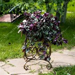 вазон для благоустройства территории вазон для благоустройства территории