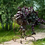 вазон на веранду вазон на веранду